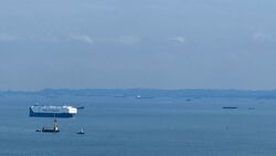 One Bernam (D2), Apartment #499238871